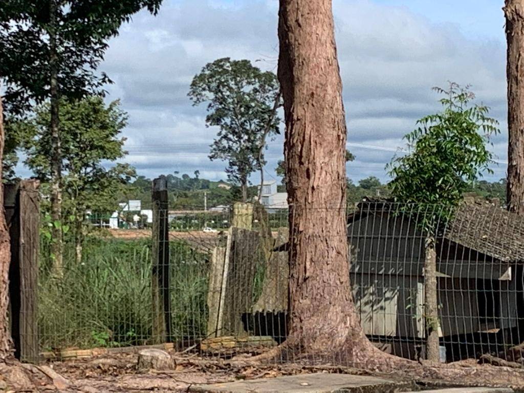 Fazenda à venda com 3 quartos, 30m² - Foto 5