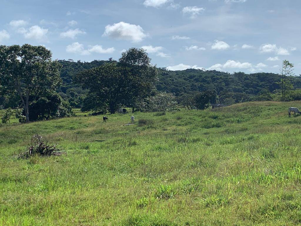 Fazenda à venda com 3 quartos, 30m² - Foto 6