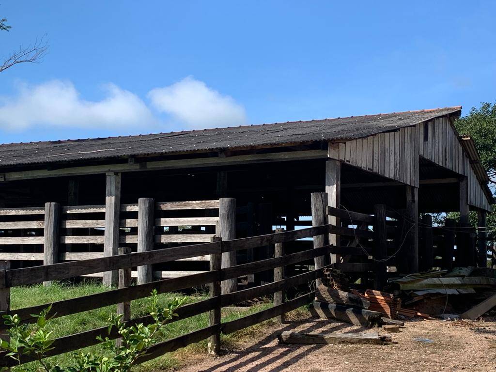 Fazenda à venda com 3 quartos, 30m² - Foto 11