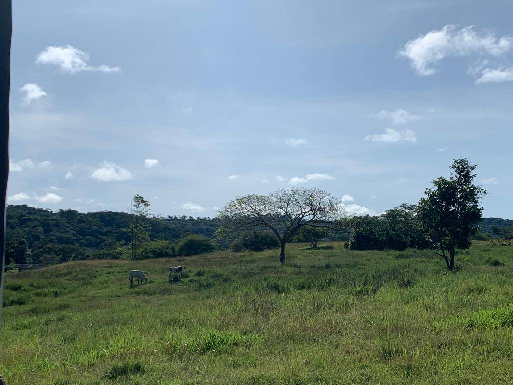 Fazenda à venda com 3 quartos, 30m² - Foto 9