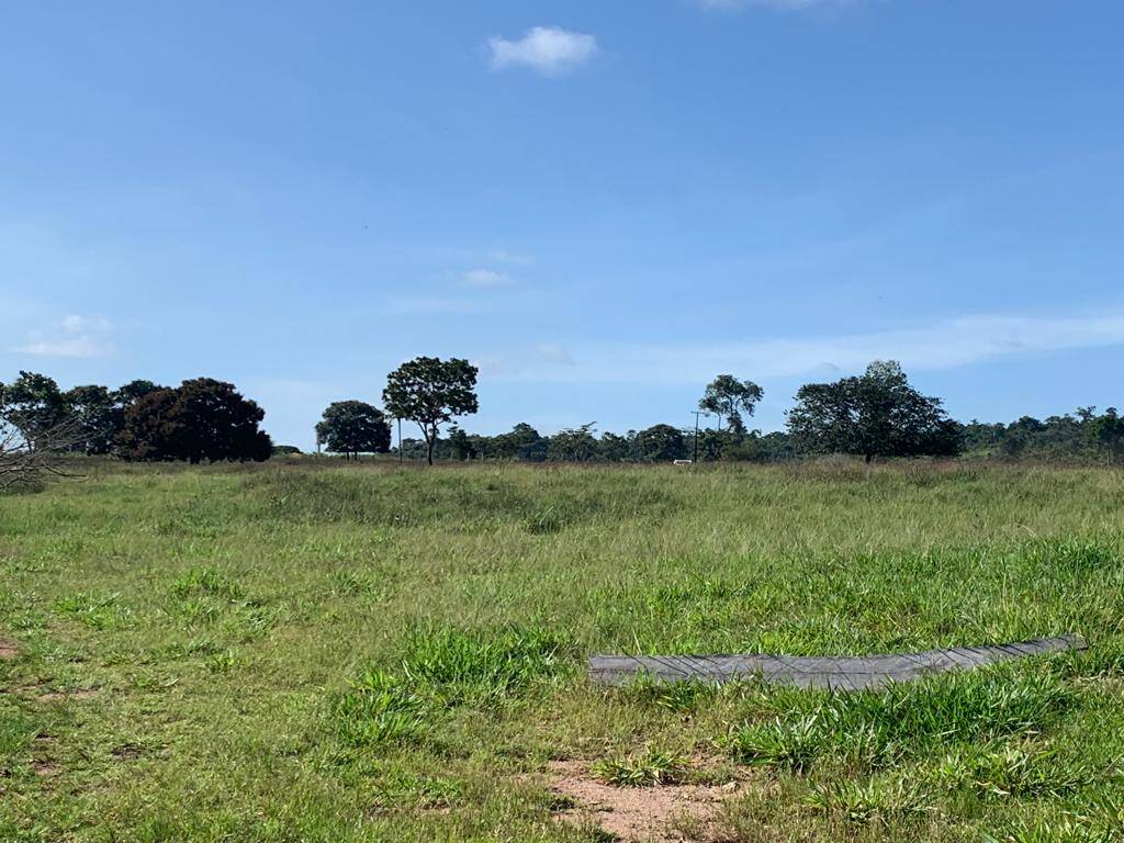 Fazenda à venda com 3 quartos, 30m² - Foto 10