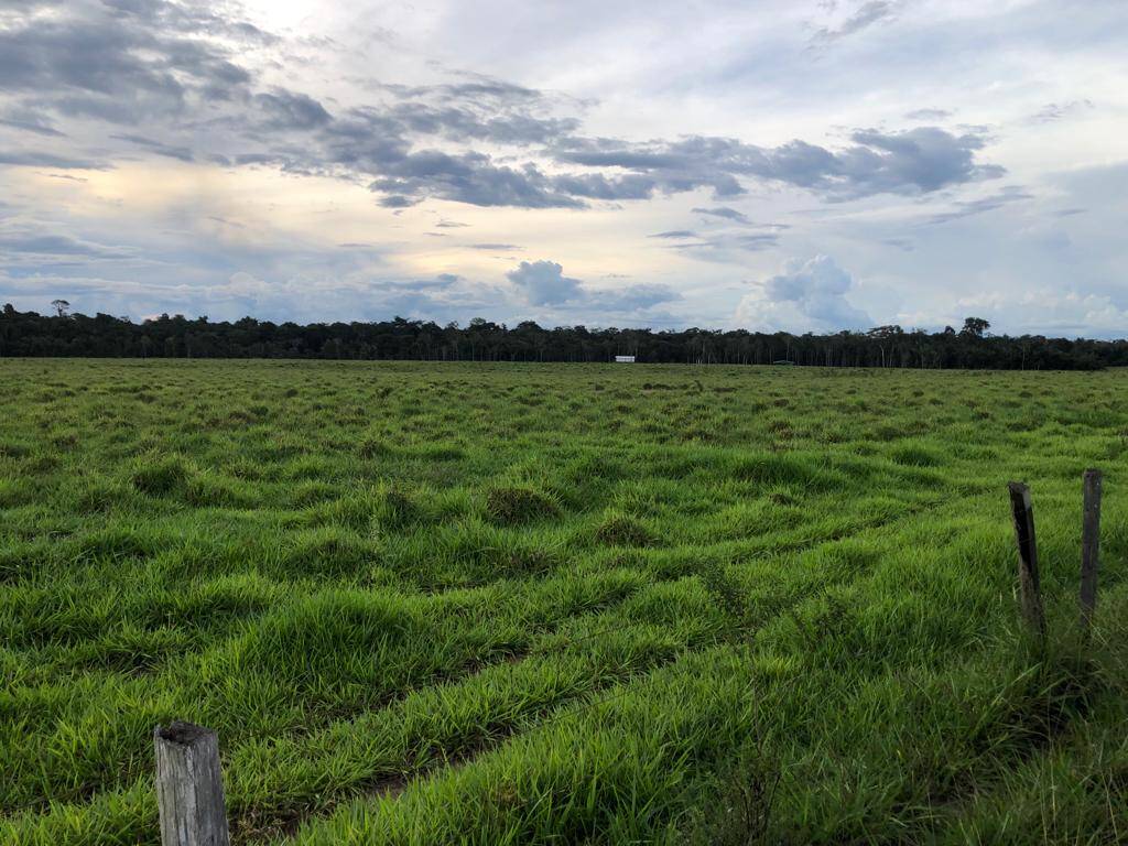 Fazenda à venda com 2 quartos, 34m² - Foto 5