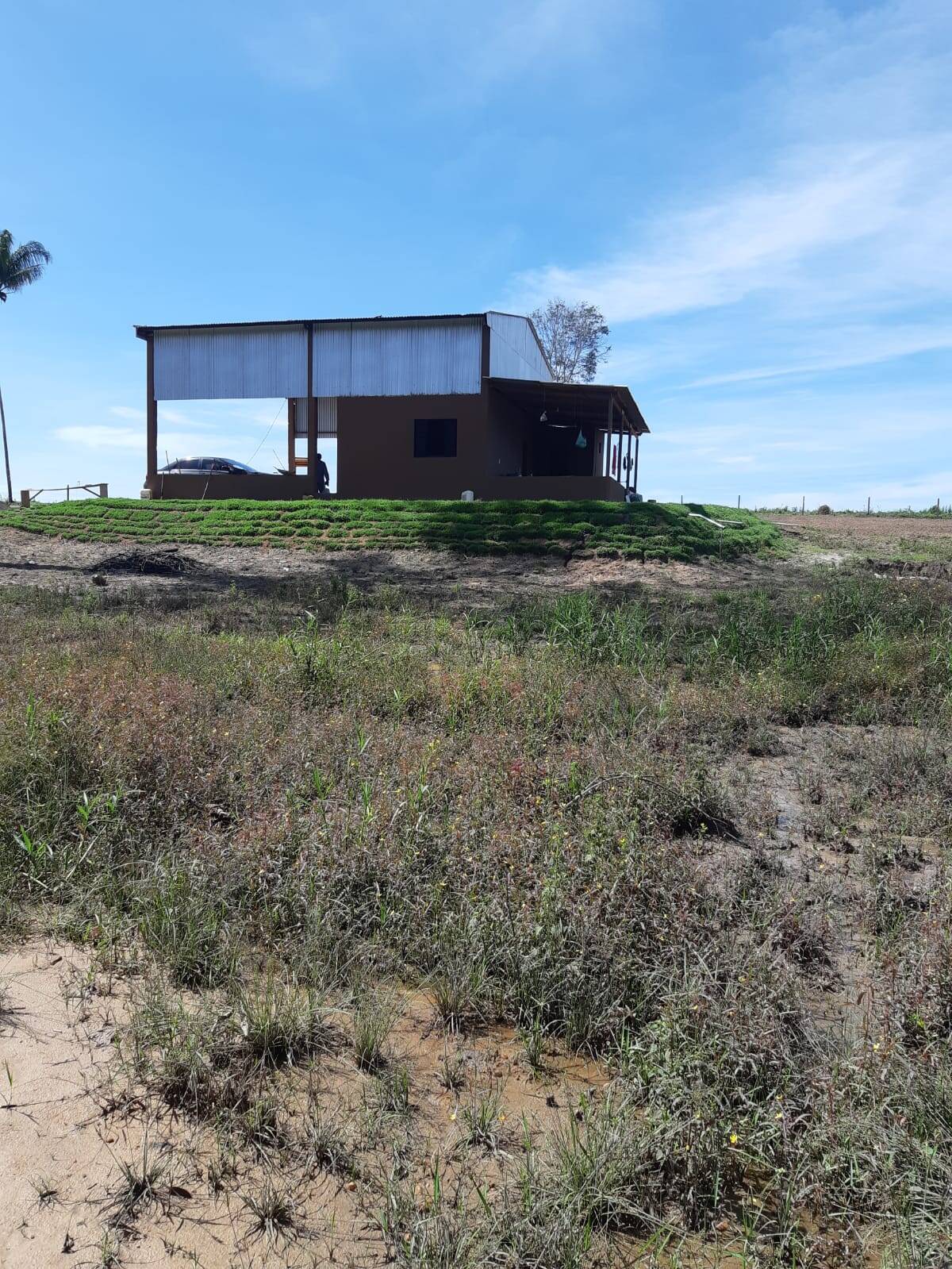 Fazenda à venda com 2 quartos, 34m² - Foto 11