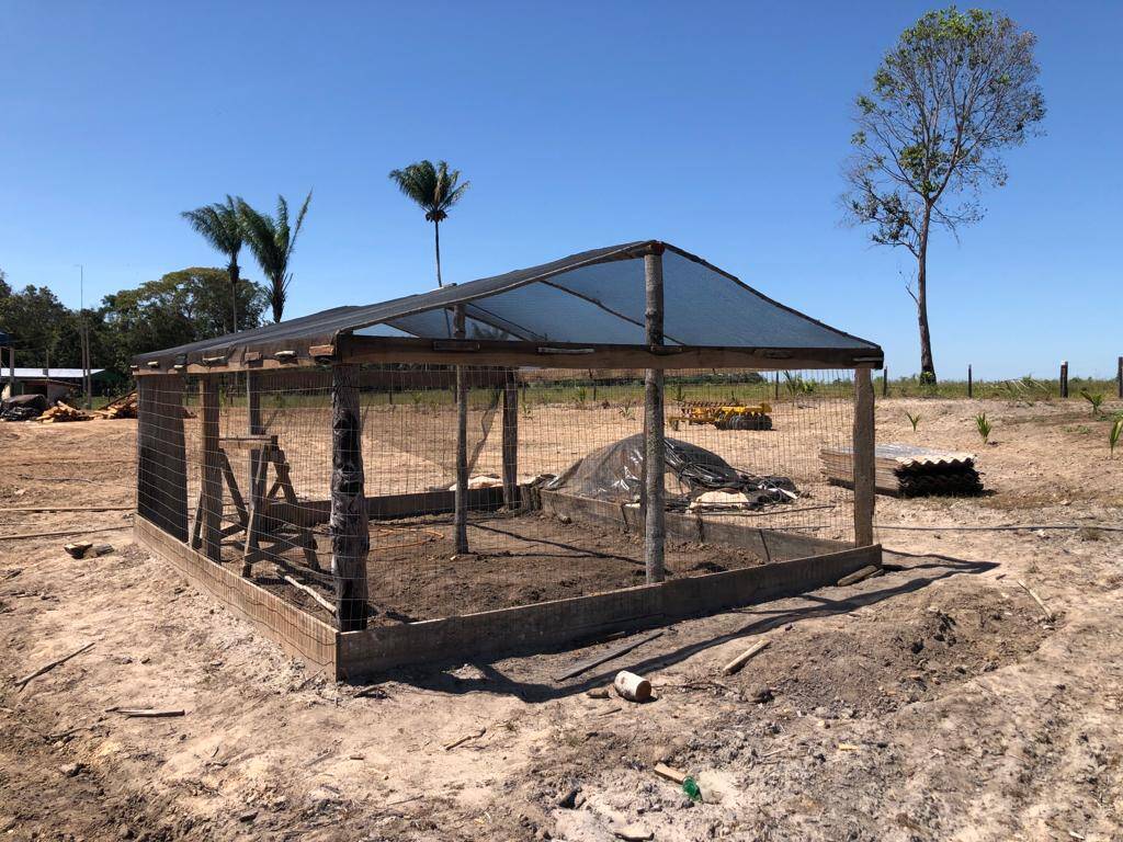 Fazenda à venda com 2 quartos, 34m² - Foto 20