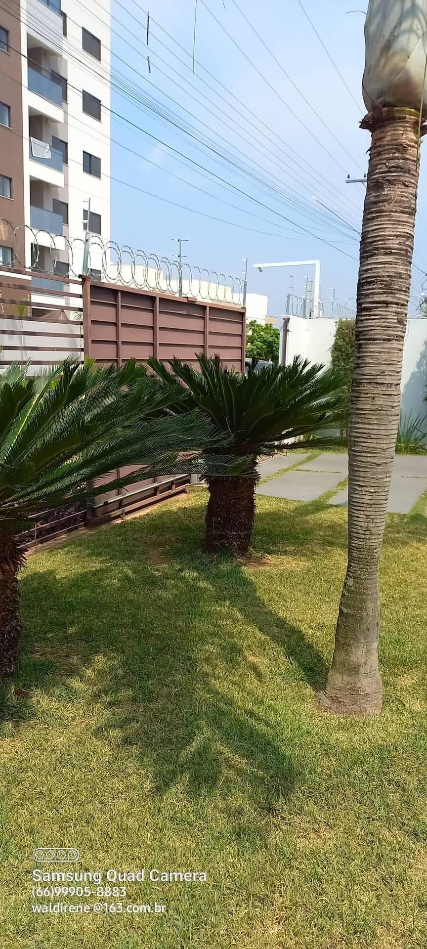 Casa à venda e aluguel com 3 quartos, 600m² - Foto 92