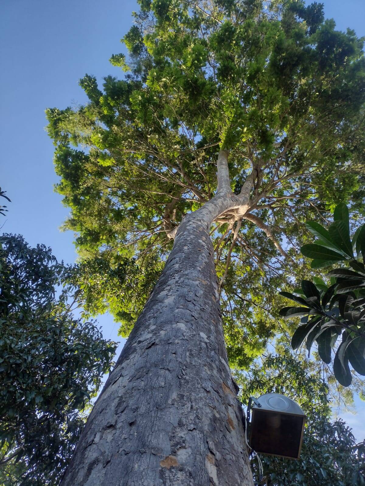 Fazenda à venda, 15m² - Foto 2