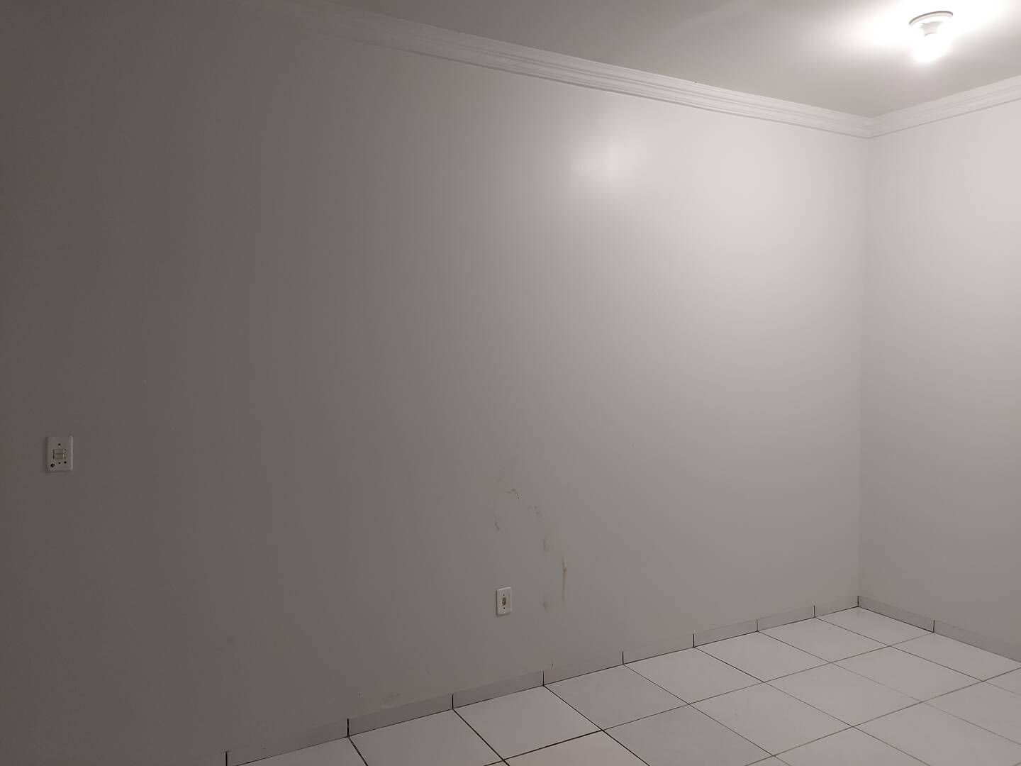 Casa à venda com 3 quartos, 600m² - Foto 13