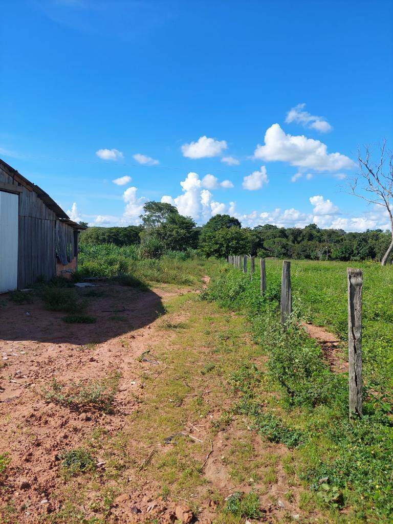 Fazenda à venda, 924012m² - Foto 4