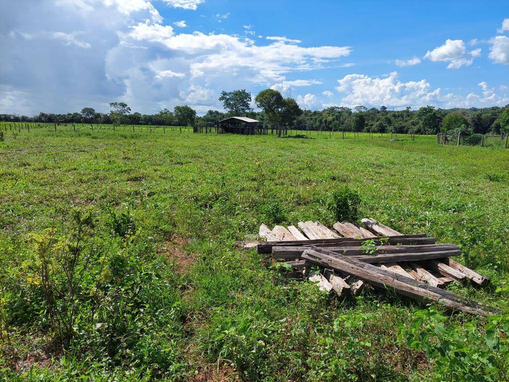 Fazenda à venda, 924012m² - Foto 11