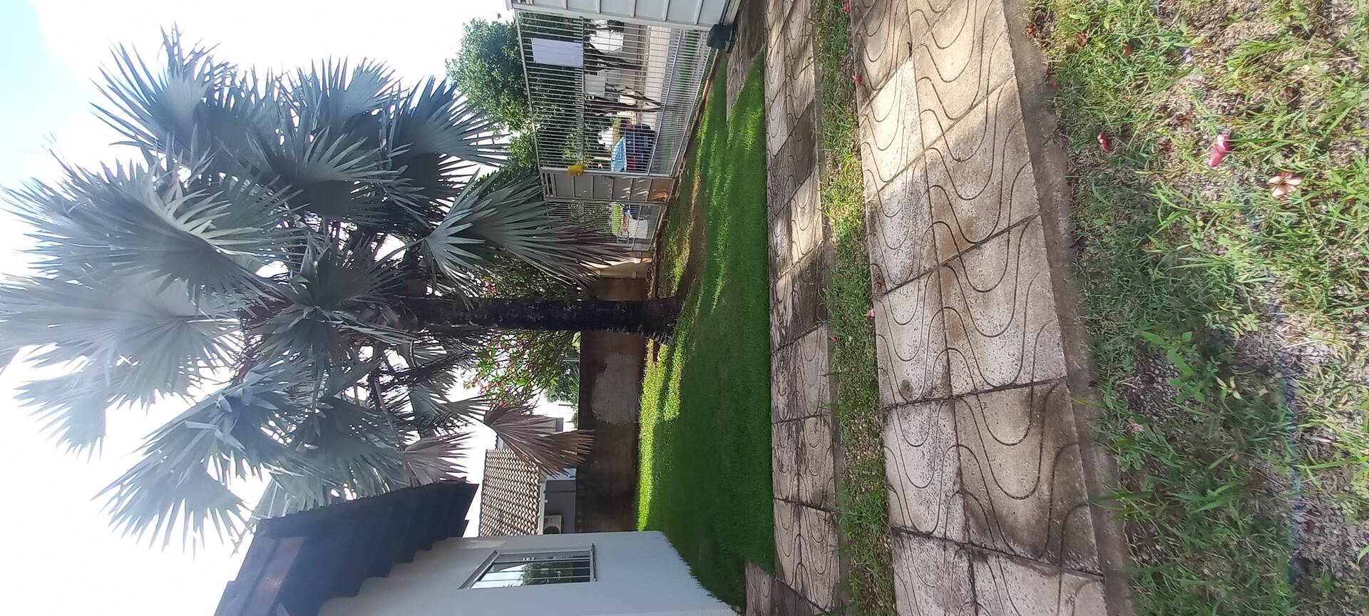 Casa à venda com 3 quartos, 600m² - Foto 84