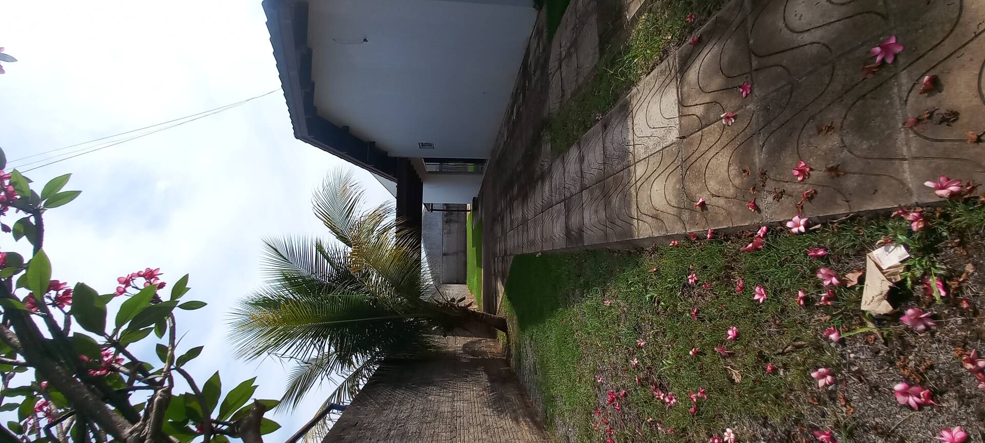 Casa à venda com 3 quartos, 600m² - Foto 87