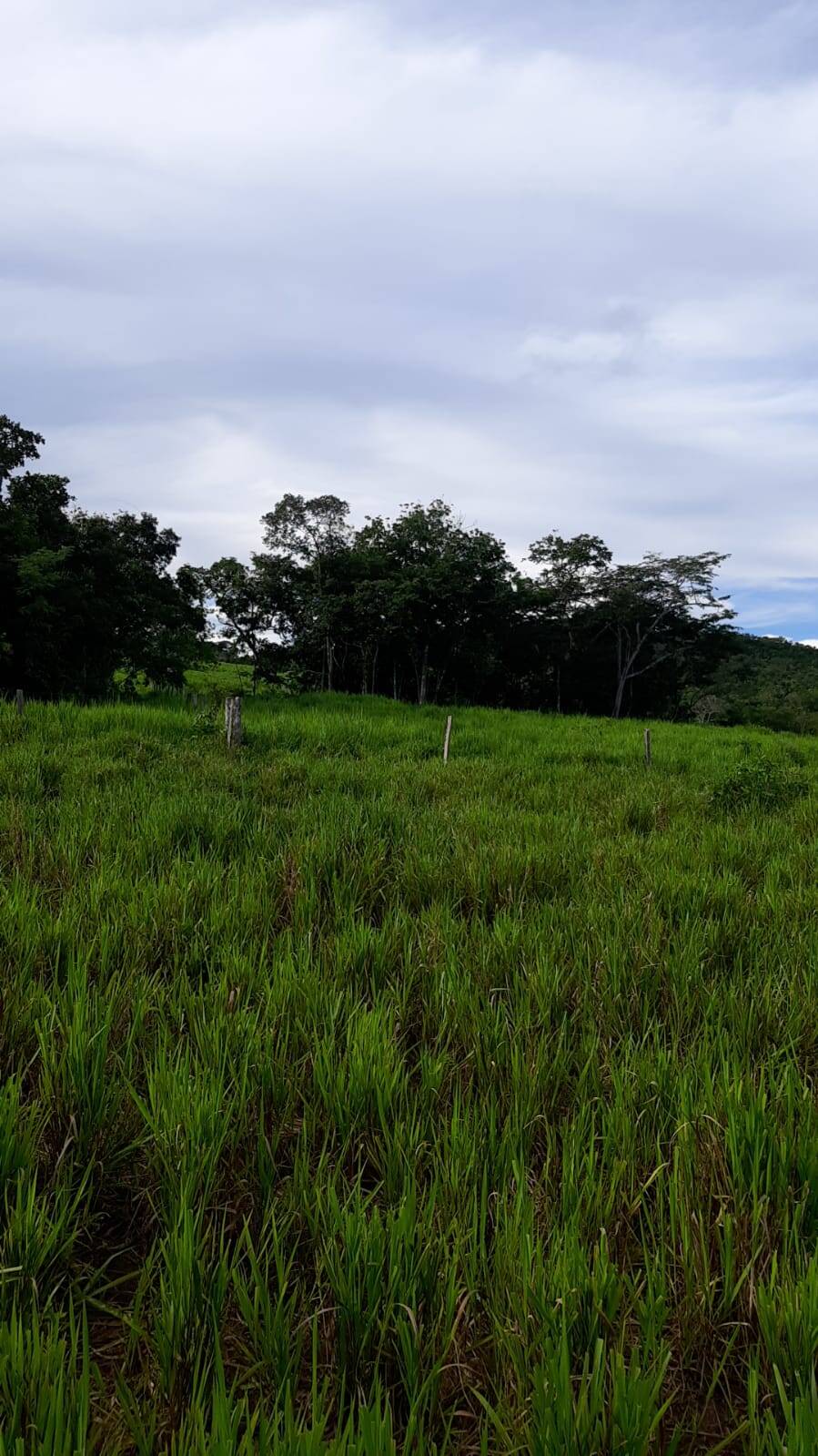 Fazenda à venda, 158m² - Foto 2