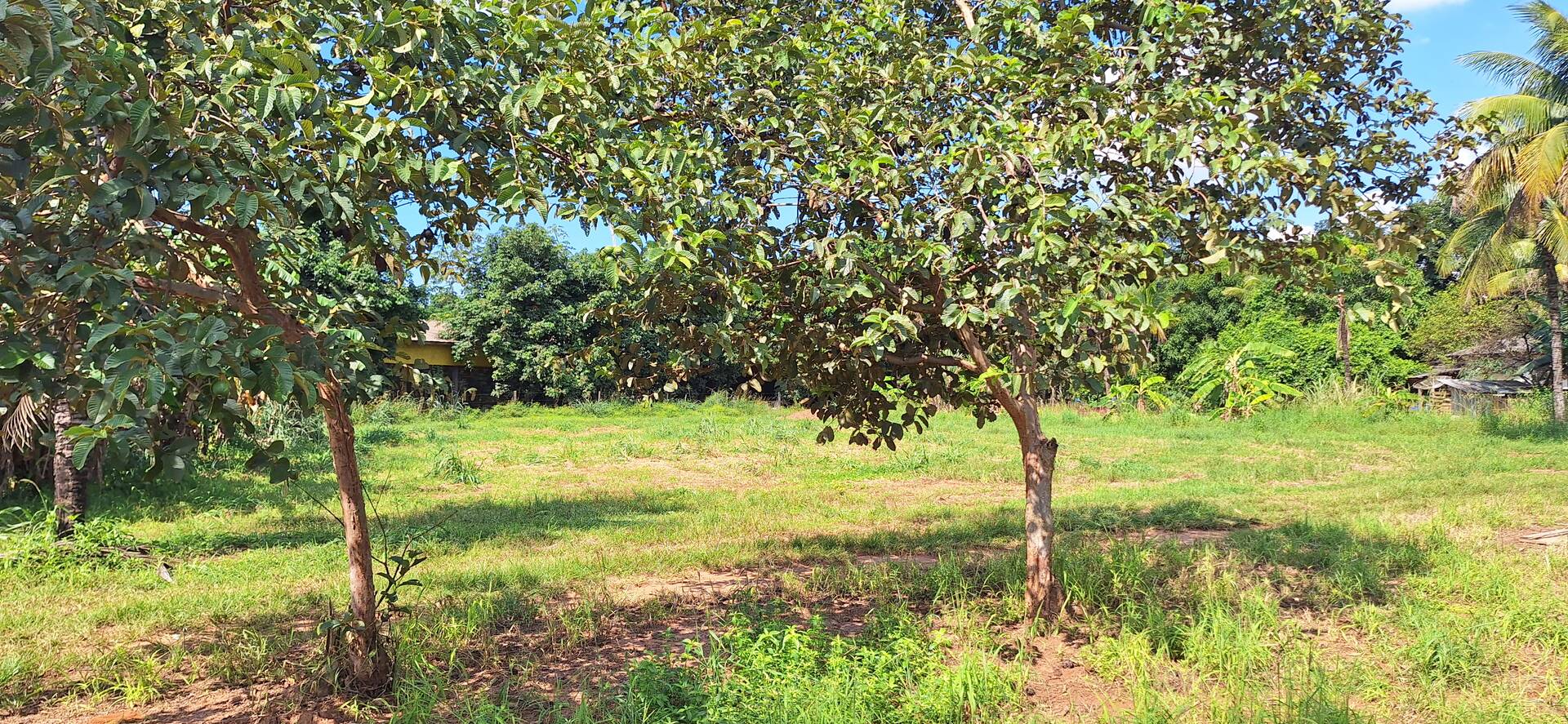 Fazenda à venda, 56m² - Foto 3