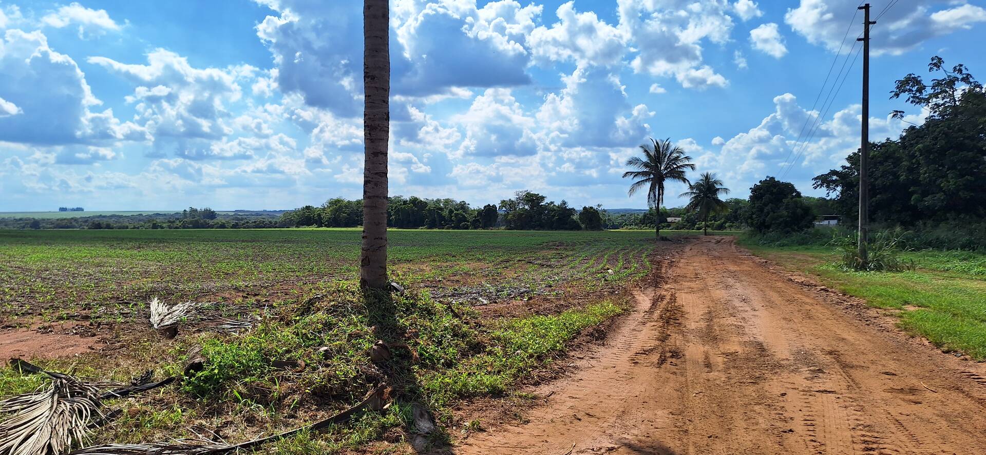 Fazenda à venda, 56m² - Foto 5