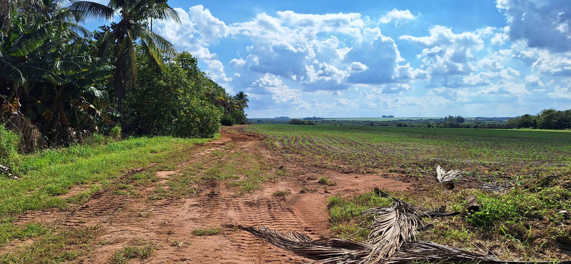 Fazenda à venda, 56m² - Foto 6