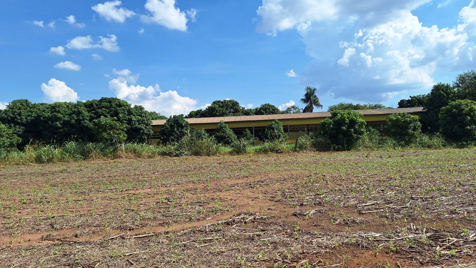 Fazenda à venda, 56m² - Foto 24