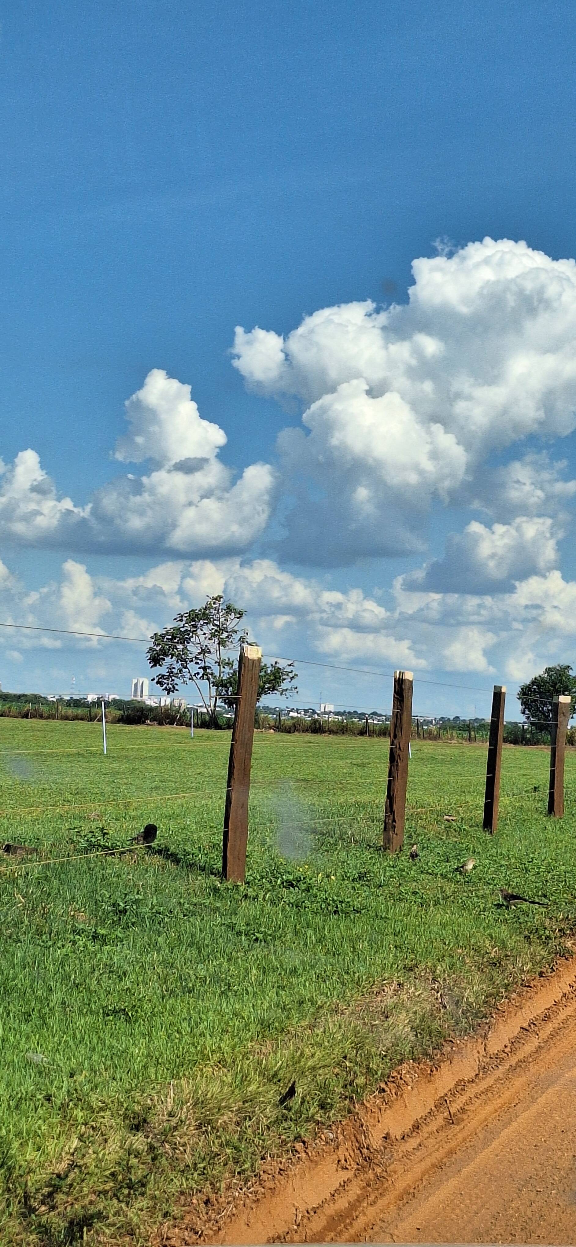 Fazenda à venda, 56m² - Foto 32