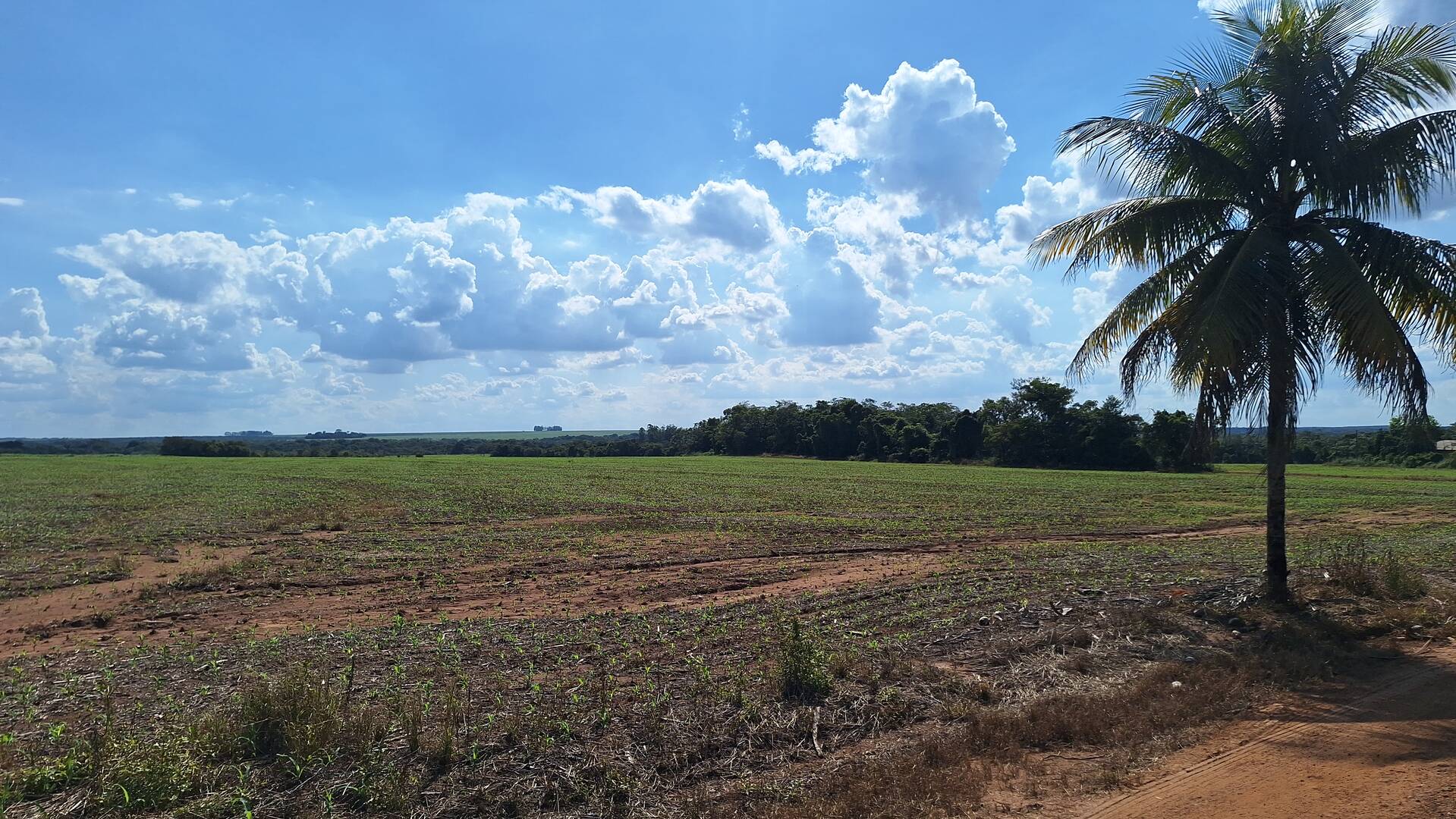 Fazenda à venda, 56m² - Foto 36