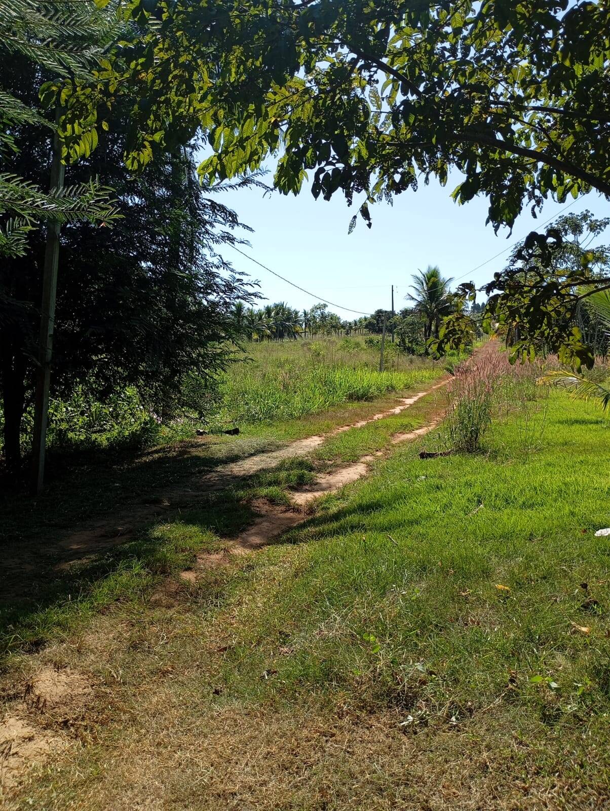 Fazenda à venda, 44297m² - Foto 3