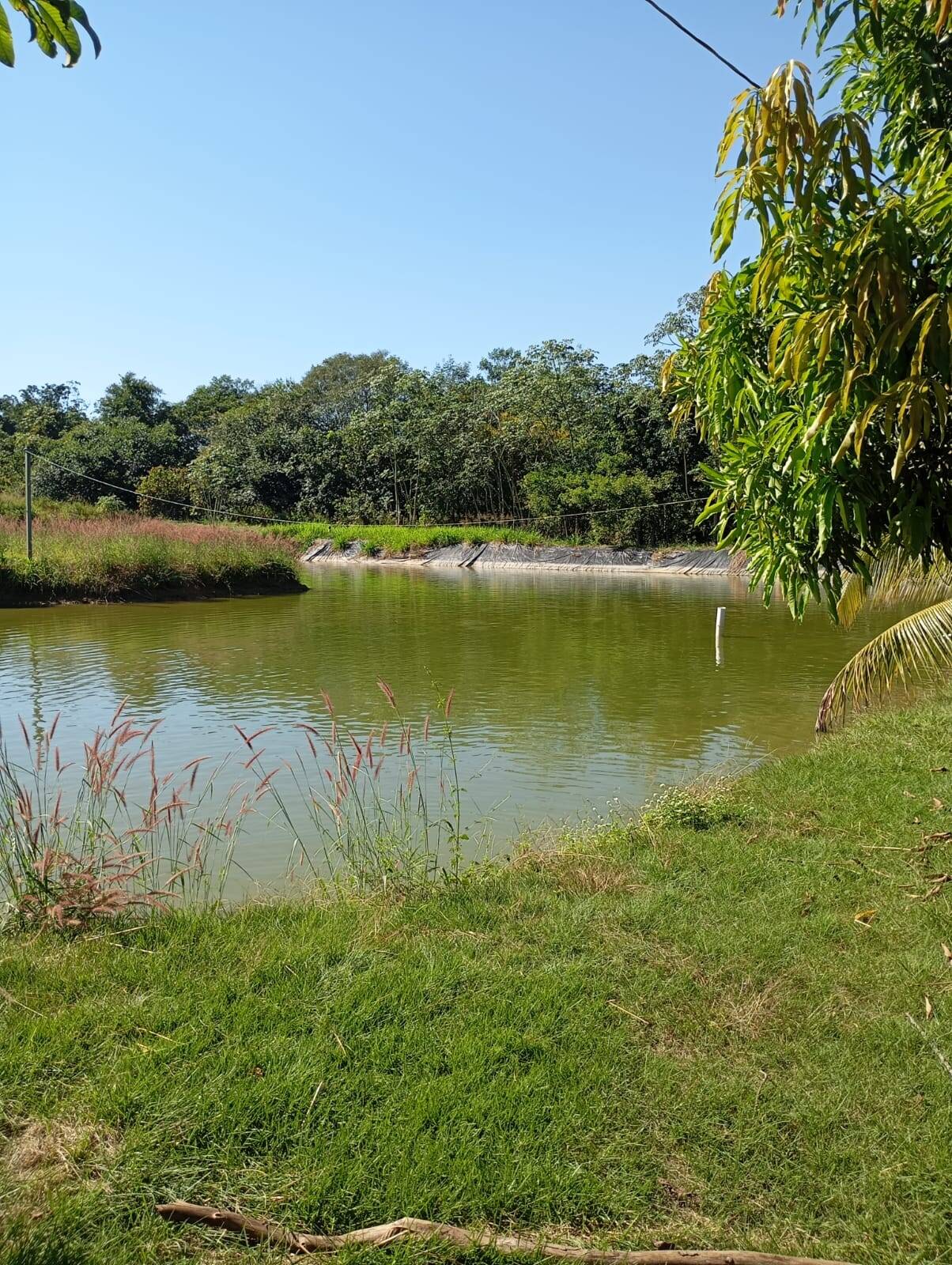 Fazenda à venda, 44297m² - Foto 7