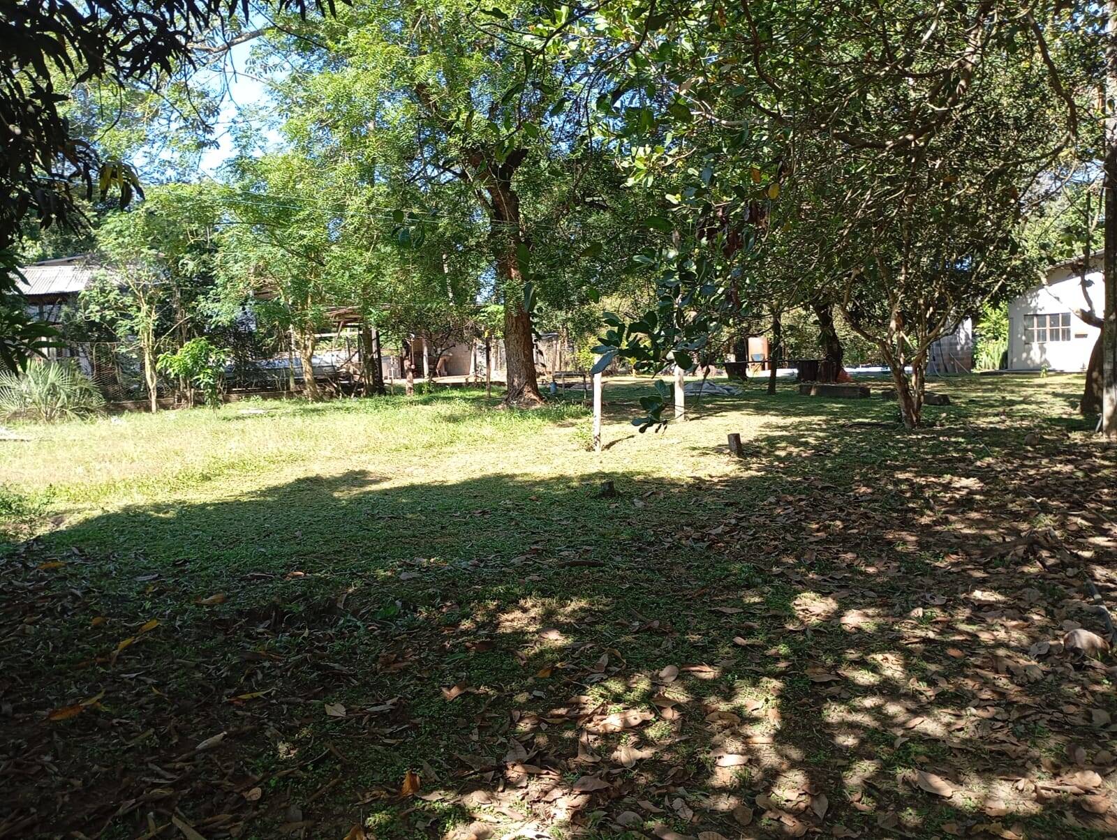 Fazenda à venda, 44297m² - Foto 6