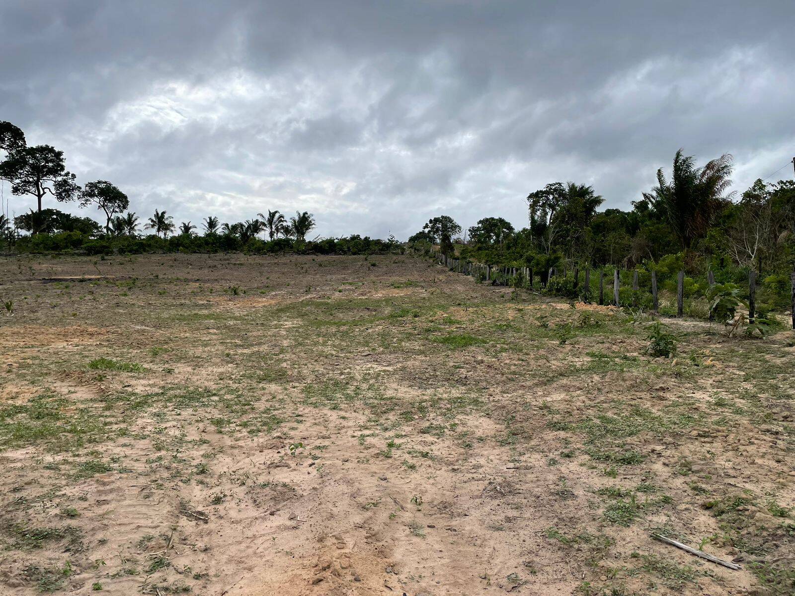 Terreno à venda, 6000m² - Foto 1