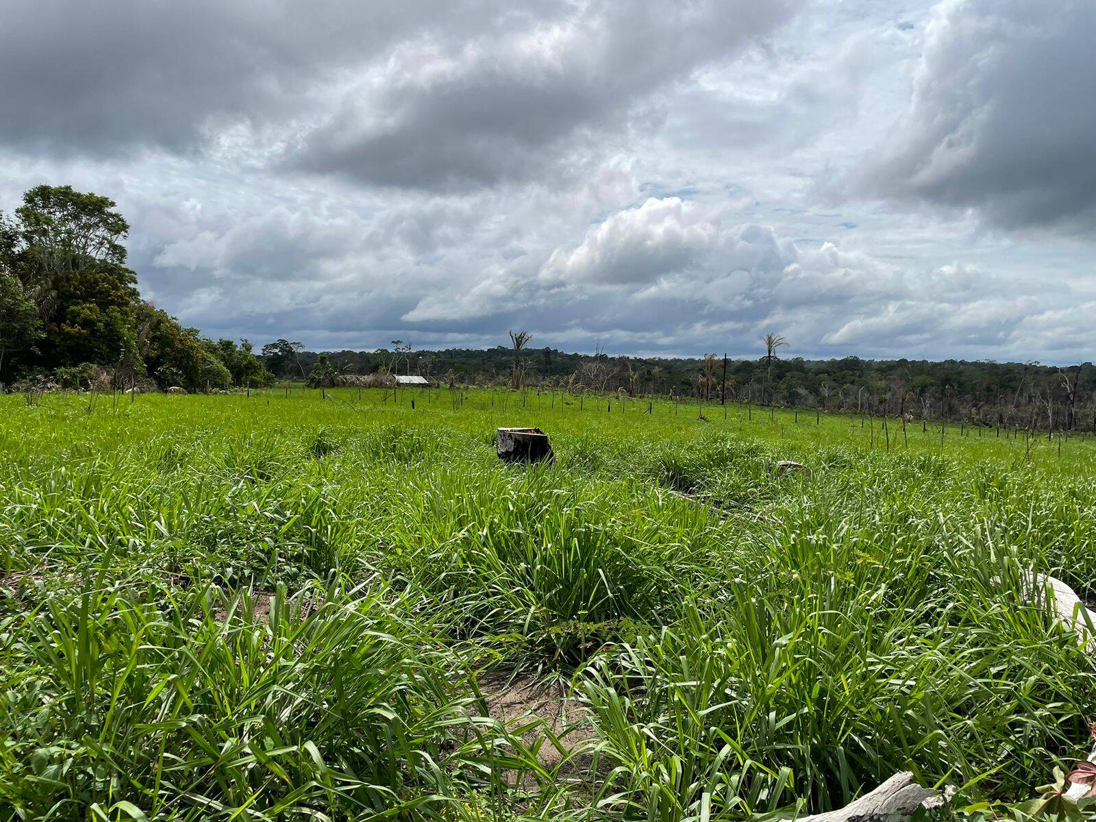 Terreno à venda, 6000m² - Foto 2