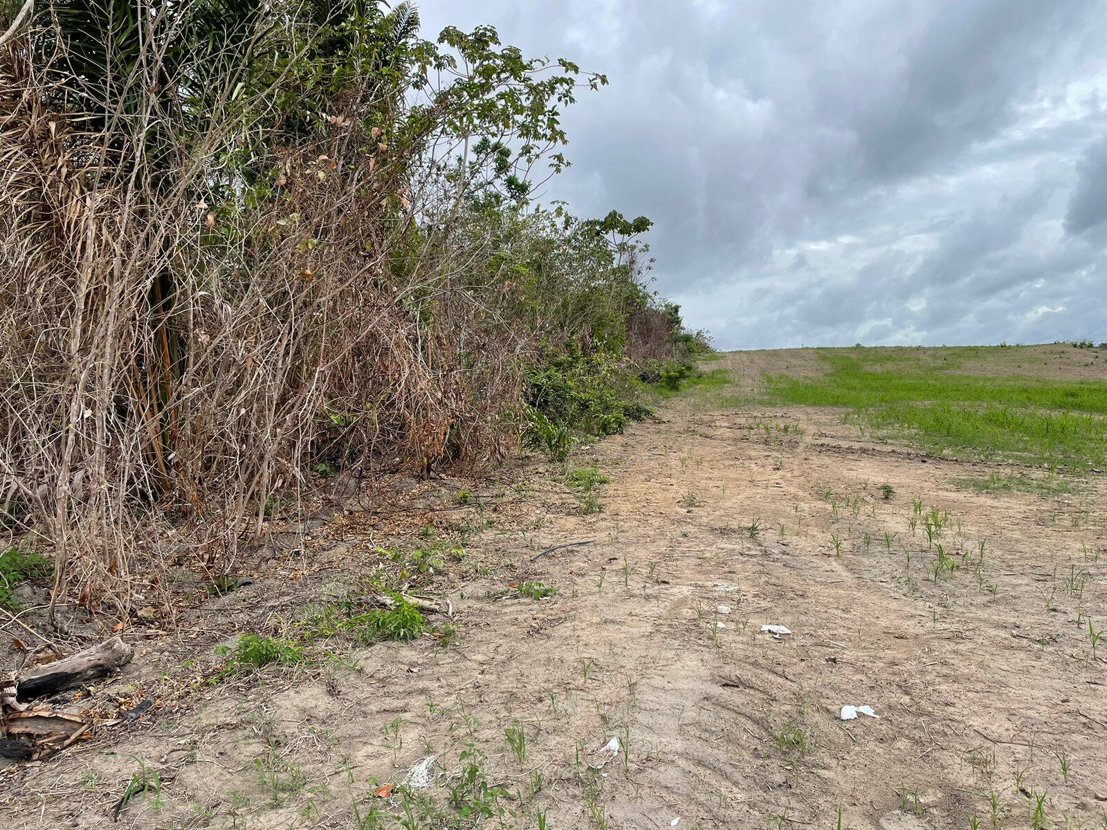 Terreno à venda, 6000m² - Foto 3