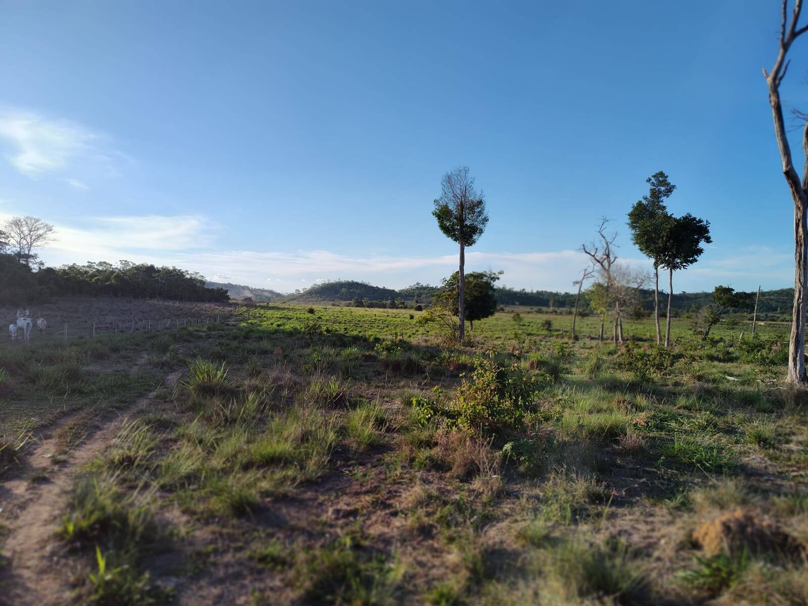 Terreno à venda, 27m² - Foto 5