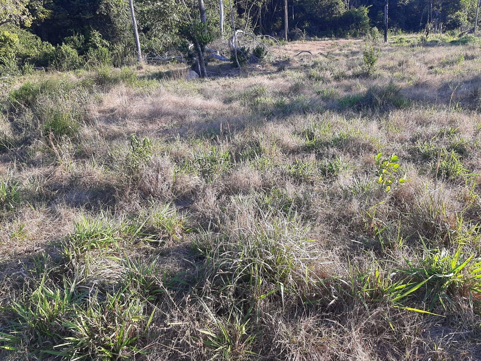 Terreno à venda, 27m² - Foto 11