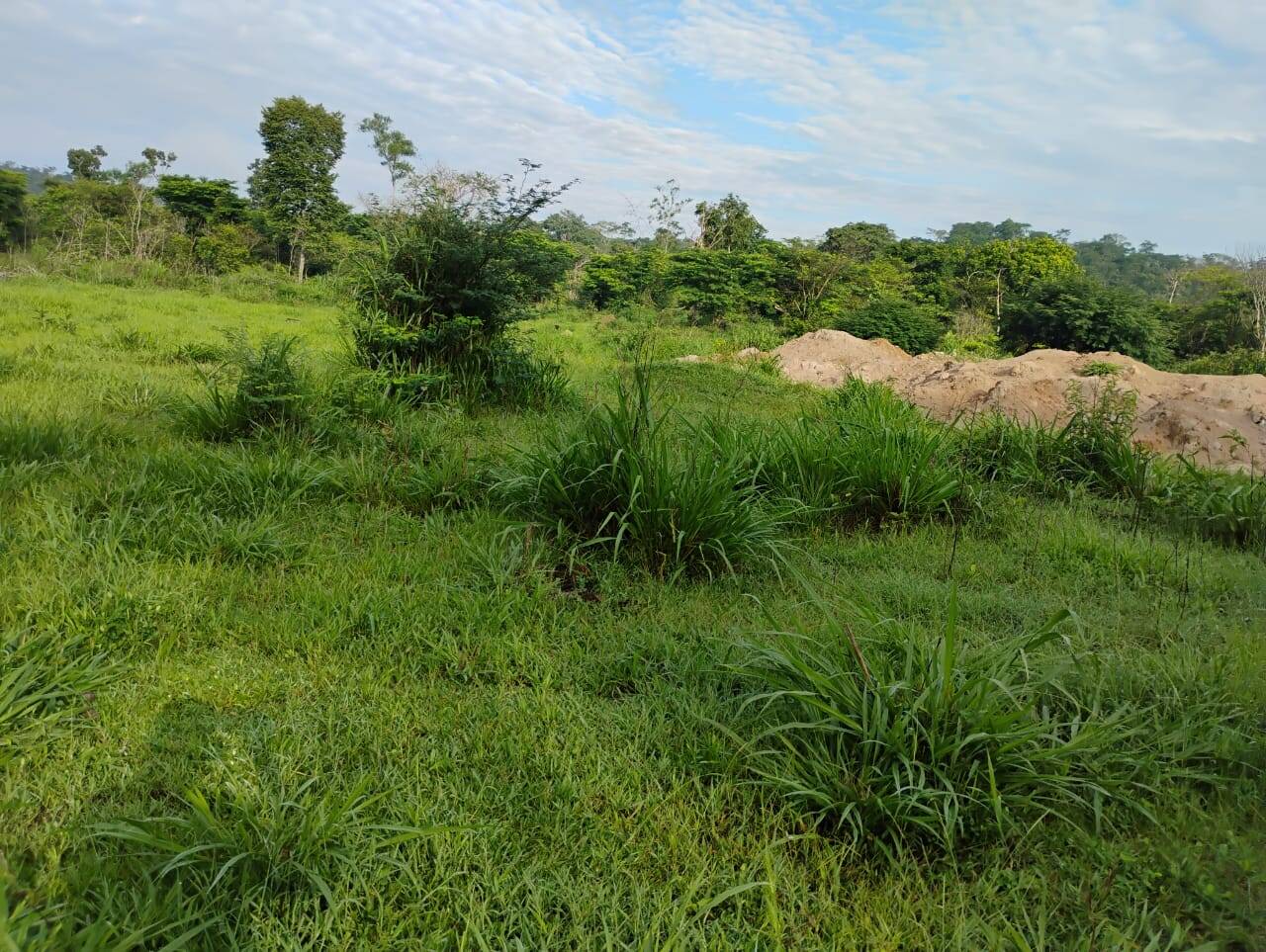 Terreno à venda, 150m² - Foto 9