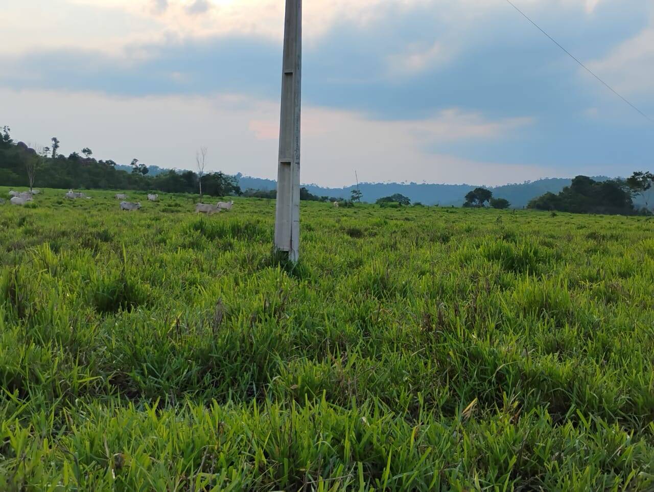 Terreno à venda, 150m² - Foto 19