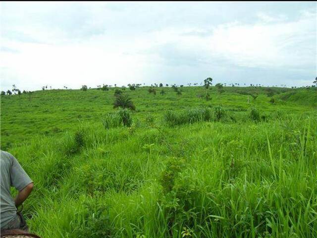 #500 - Fazenda para Venda em Canabrava do Norte - MT - 2